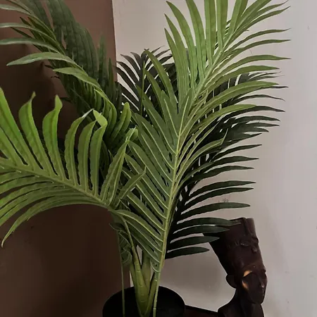 Et Etage Prives Dans Un Duplex Moderne Rum i privatbostad