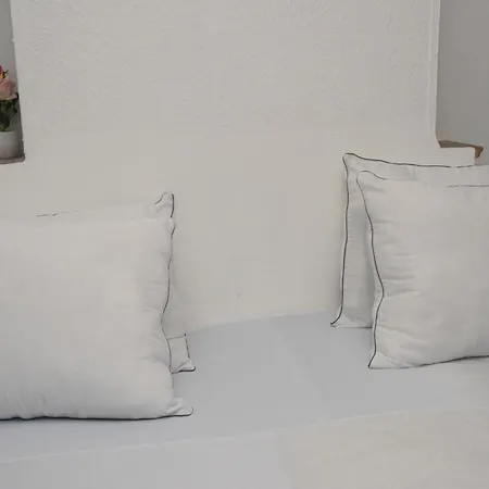 Confort Accueillant 8 A 10 Personnes - Touristique A 布鲁塞尔