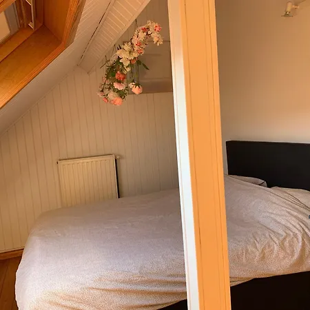 Belle Etage A Stockel With Charming Patio * ブリュッセル