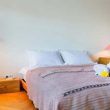 Eu Elegant Appartement Brussel