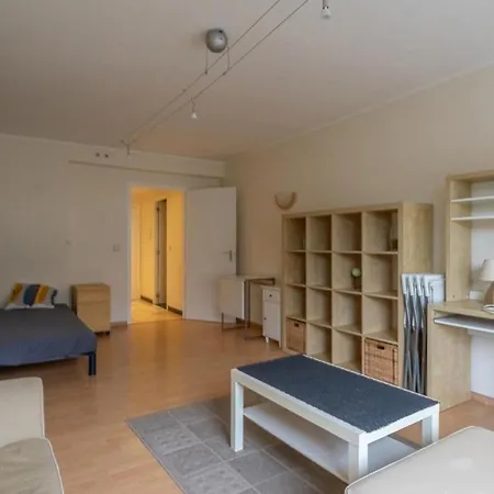 Apartmán Cinquentenaire Brusel