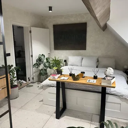 Apartment Modern Loft Near Eu Institutions