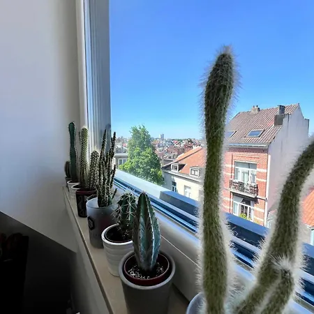 Modern Loft Near Eu Institutions Apartment