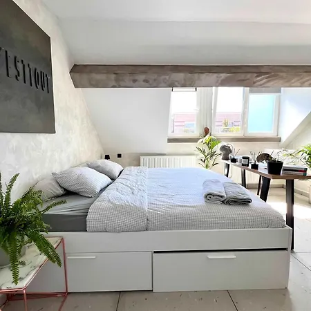 Apartment Modern Loft Near Eu Institutions Brussels