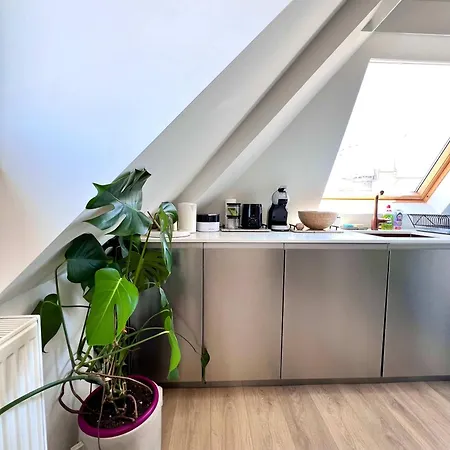 Modern Loft Near Eu Institutions * Brussels