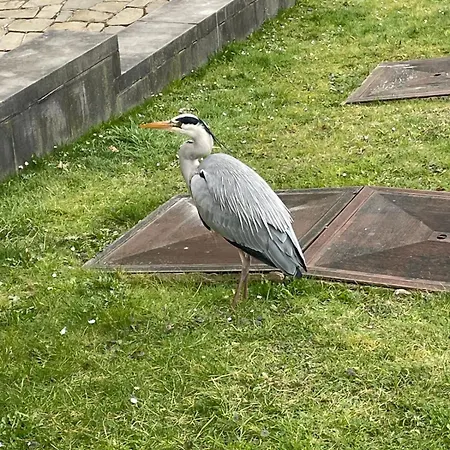 公寓 Le Flagey Place