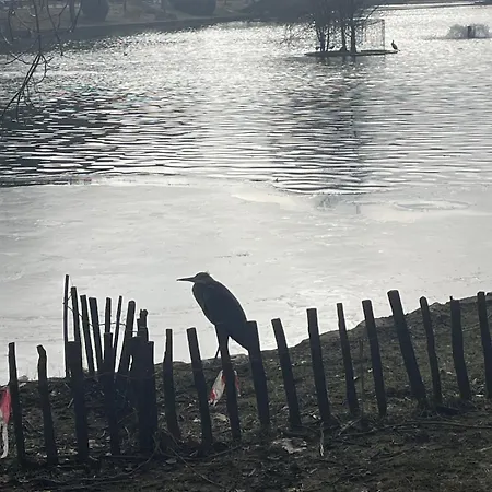 公寓 Le Flagey Place *