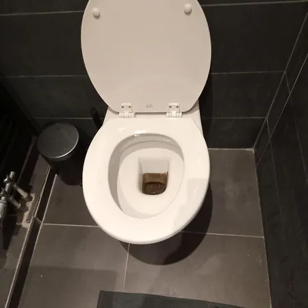 Nocleg ze śniadaniem History And Comfort Of For *