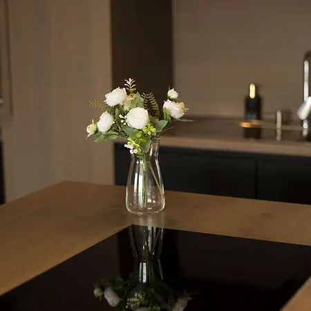 Penthouse With Private Cinema Apartment