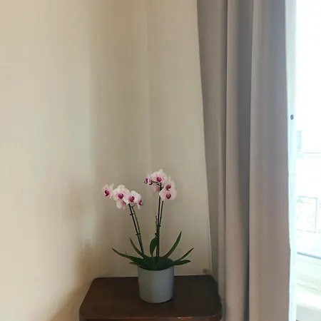 Beautiful 2 Bedroom In Place Flagey Bxl 布鲁塞尔