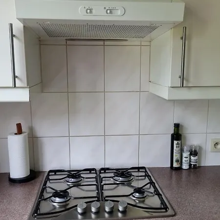 Maison Armand Bxl بيت للعطل بروكسل
