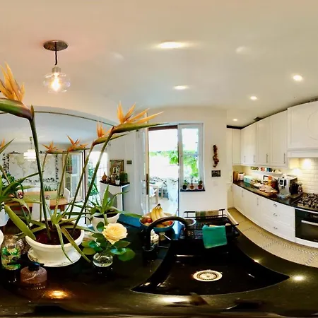 Calm, & Birdsong Near The Center *