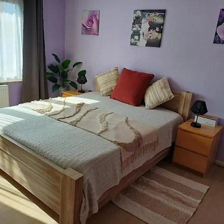 With Terrace In Berchem-sainte-agathe *