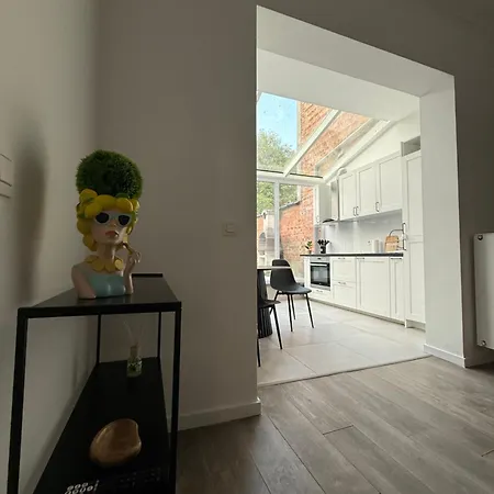 Oasis Bruselas