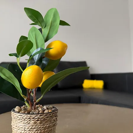 Oasis Apartamento