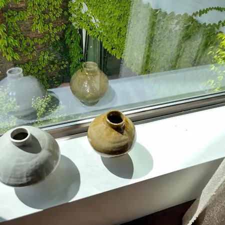 Teddy Picker * بروكسل