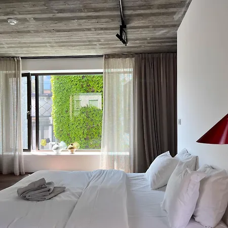 Teddy Picker بروكسل