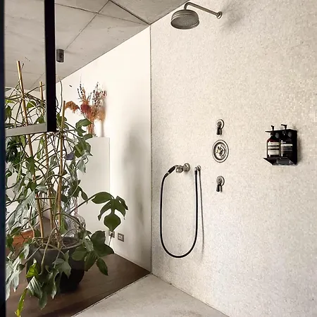 Teddy Picker بروكسل