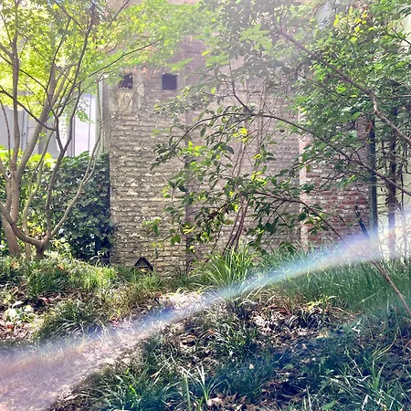 Teddy Picker * بروكسل