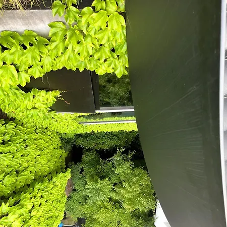 Teddy Picker منزل للإقامة *