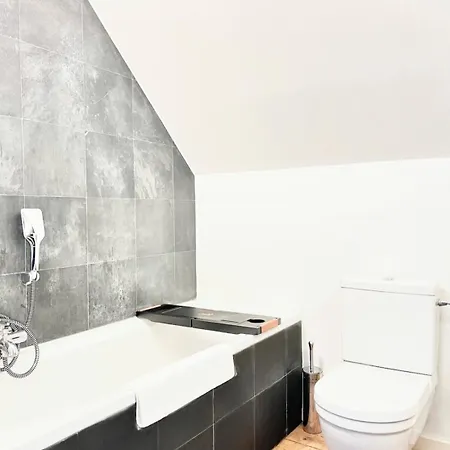 아파트 Luxury Loft Duplex Penthouse Of 190m2 & Free Parking !