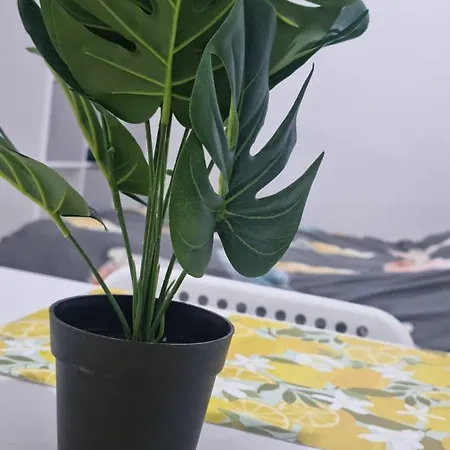 Cityspot 159 * Brüsszel