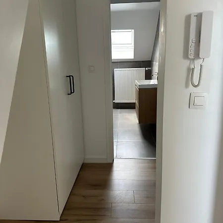 3- Duplex Lumineux Au Coeur D'ixelles * בריסל