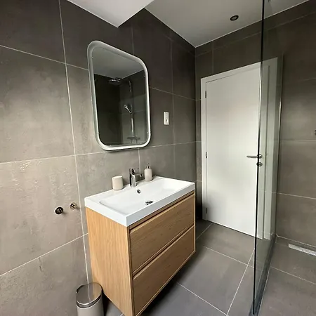 דירה 3- Duplex Lumineux Au Coeur D'ixelles בריסל