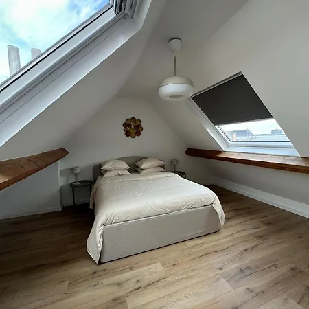 3- Duplex Lumineux Au Coeur D'ixelles בריסל