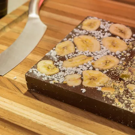 布里斯托尔斯蒂芬妮松恩酒店 酒店