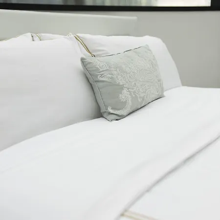 Triplex Penthouse In The Center * Bruksela