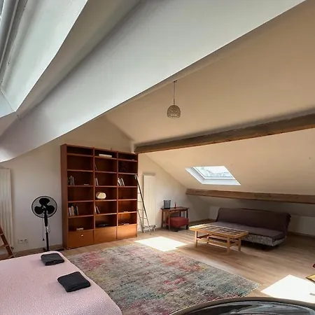 Big Cosy Family Duplex Near Grande Place Lejlighed *