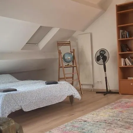 Big Cosy Family Duplex Near Grande Place Lägenhet *