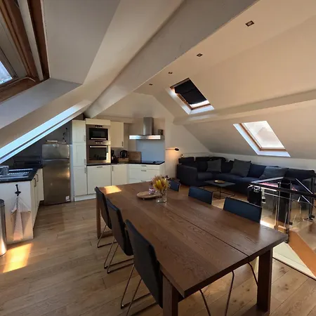 Metztlibru 布鲁塞尔