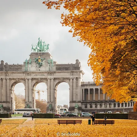 La Petite Foret Brussels' Near Palais * 브뤼셀