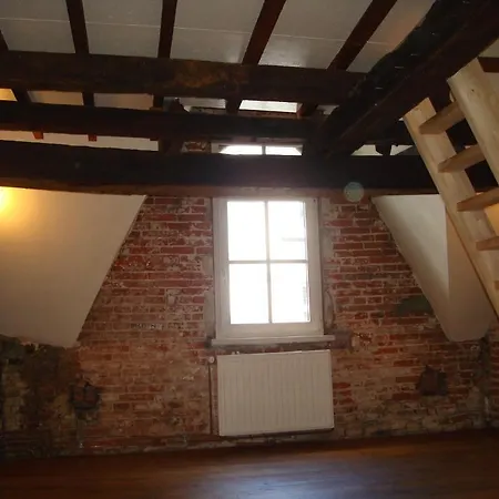 De Witte Leirsse 1557 *