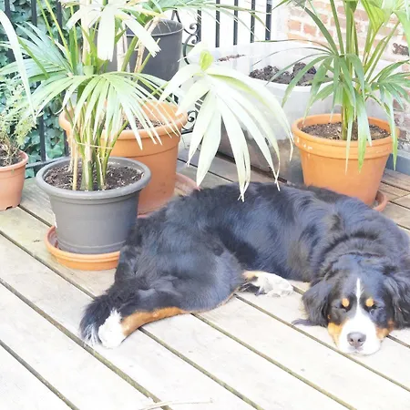 The Captaincy 酒店