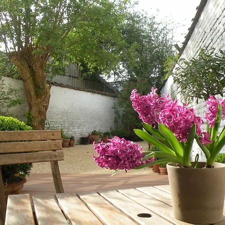 فندق مبيت وإفطار Living In Brusel, Urban 5*