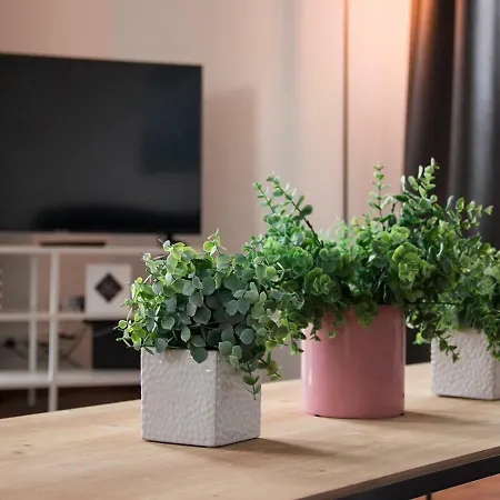 Appartement Smartflats - High Street Brussel
