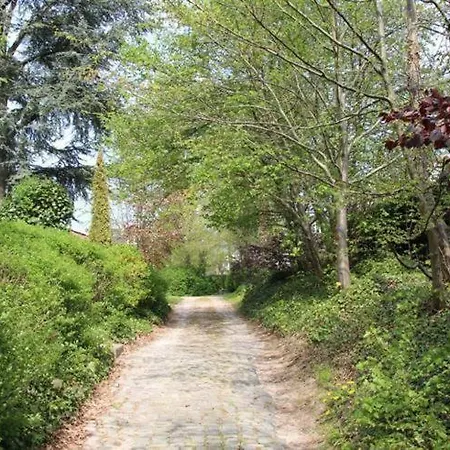 Casa Terlinden 別荘 ブリュッセル