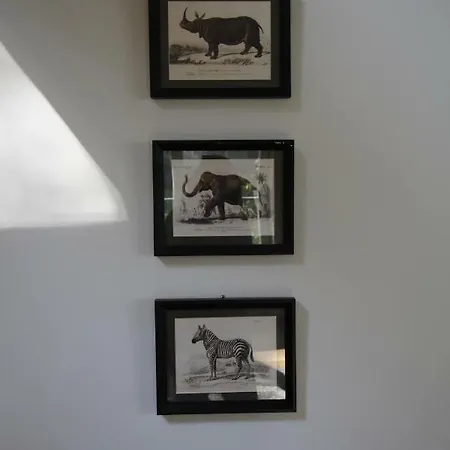 Casa Terlinden ブリュッセル