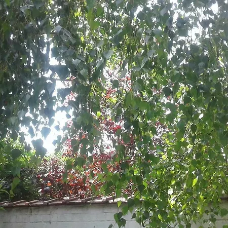 Apartamento Basilique Corner Bruxelas