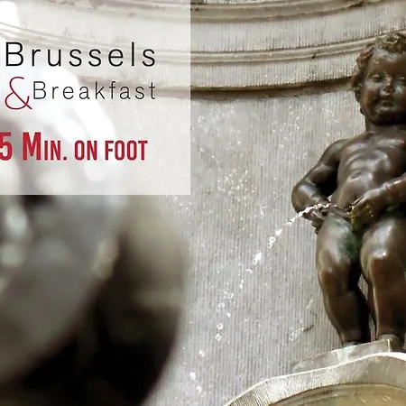 X2brussels 3*