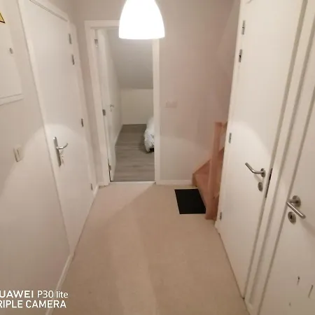 Mkd Bruxelles