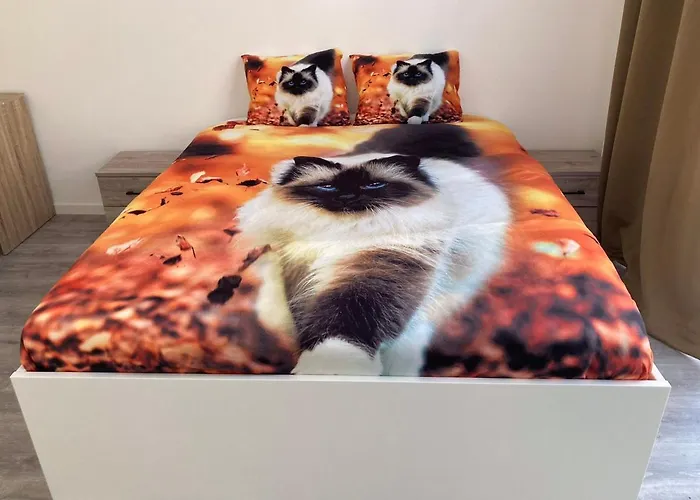 Dreamland Eu, Brüssel