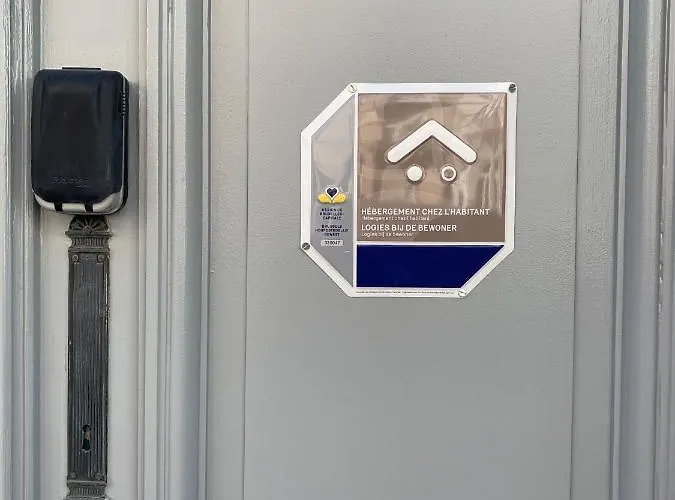 Brussels Guest House 民宿 布鲁塞尔