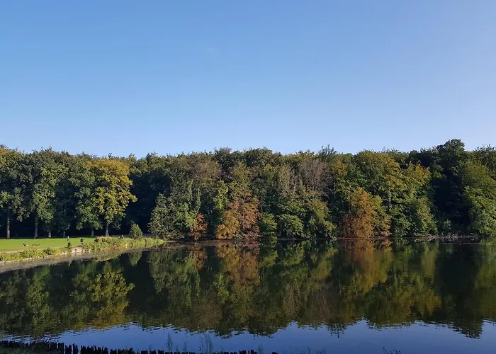 Maison Des Fleurs 3*