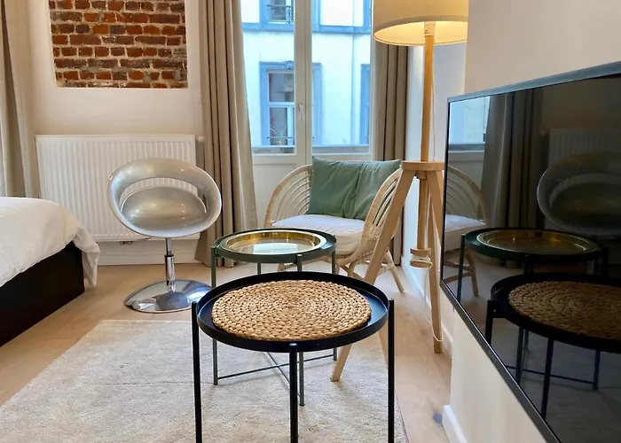 The Good Flats 公寓 布鲁塞尔