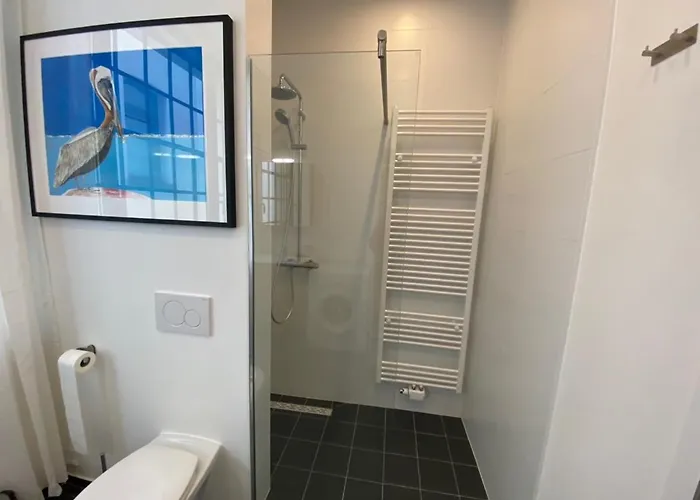 The Good Flats * 布鲁塞尔