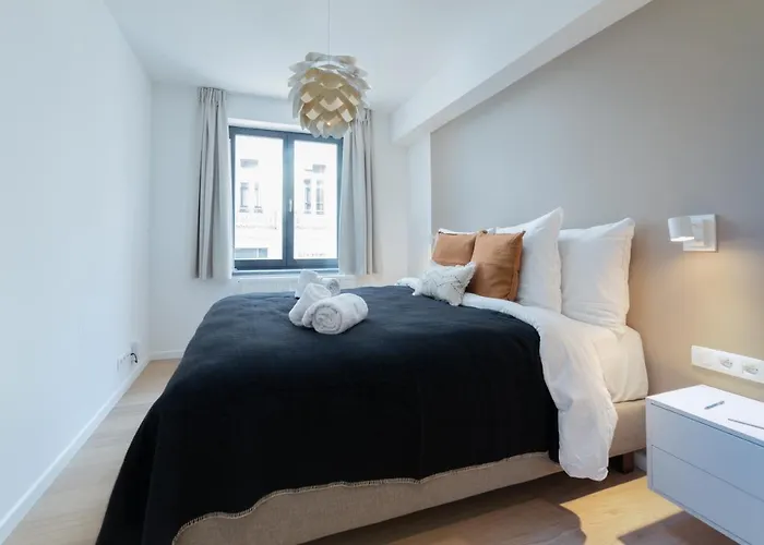 Sweett - Saint Bernard Bruselas